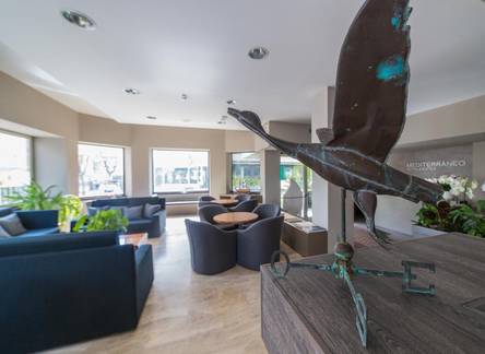 Отель Mediterraneo Hotel & Suites