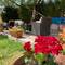 Отель Safak Apart & Hotel