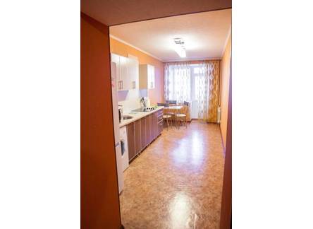 Отель Apartment Domashniy Uyut na Pushkina