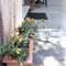 Отель Apartments Lea