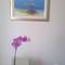 Отель Apartment Small Pearl