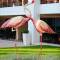 Отель Flamingo Grand