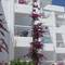 Отель Marathon Beach Resort