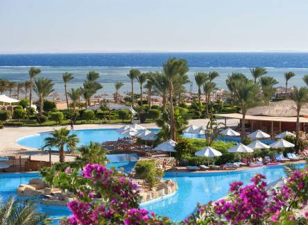 Отель Amwaj Oyoun Hotel & Resort (Ex.Millennium Oyoun Hotel & Resort)