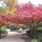 Отель Ensana Grand Margaret Island