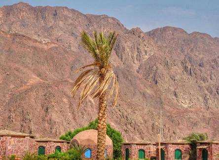 Отель Safari Nuweiba