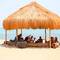 Отель Safari Nuweiba