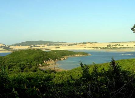 Отель Whale Island Resort