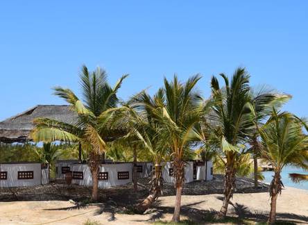 Отель Mangrove Bay Resort