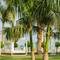 Отель Daniel Hotel Dead Sea