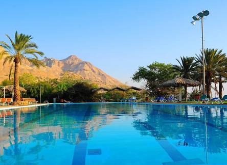 Отель Ein Gedi Resort