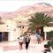 Отель Orchid Dead Sea
