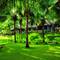 Отель Soma Manaltheeram Ayurveda Beach Village