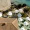 Отель Barcelo Panent Playa