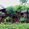 Отель Sutera Sanctuary Lodges At Manukan Island
