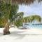 Отель COMO Cocoa Island