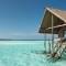 Отель COMO Cocoa Island