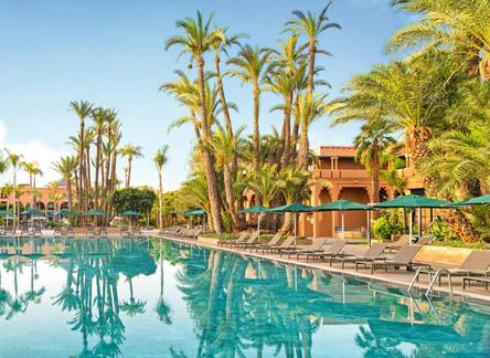 Отель Hotel Riu Tikida Garden