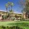 Отель Hotel Riu Tikida Garden