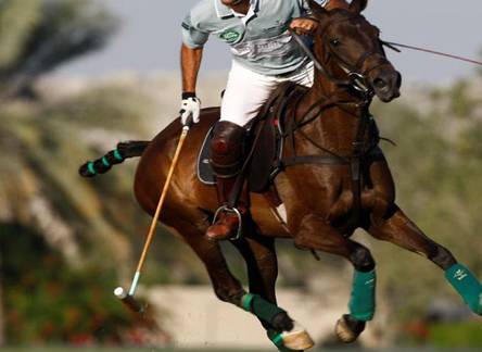 Отель Melia Desert Palm Dubai