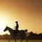 Отель Melia Desert Palm Dubai