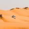 Отель Desert Nights Resort