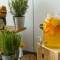 Отель Angelo Airporthotel Ekaterinburg
