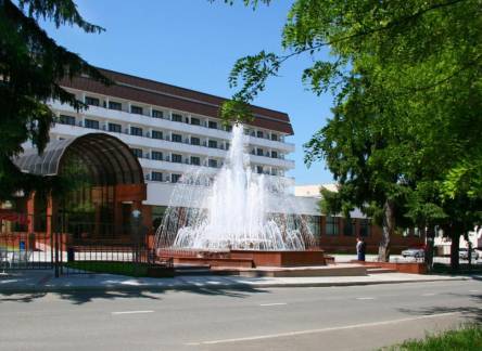 Отель Синдика