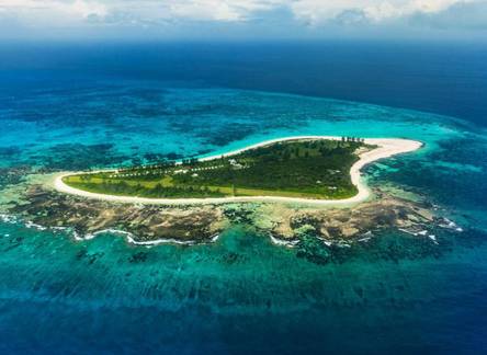 Отель Bird Island Lodge