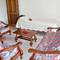 Отель Villa Des Roses Apt