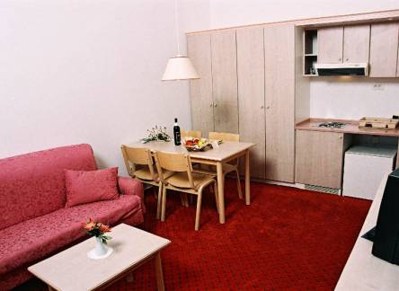 Отель Vile Park Hotel