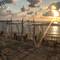 Отель The Sunset Beach Resort & Spa