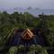 Отель Phulay Bay, a Ritz-Carlton Reserve