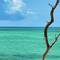 Отель Pongwe Beach Hotel