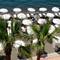 Отель Hotel Marbella