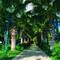 Отель Esma Clove Resort & Spa