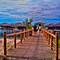 Отель Dos Palmas Arreceffi Island Resort