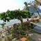 Отель El Nido Resorts Lagen Island