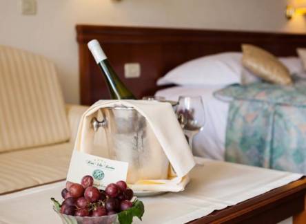 Отель Hotel Villa Bacchus