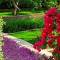 Отель Bluesun Holiday Village Velaris