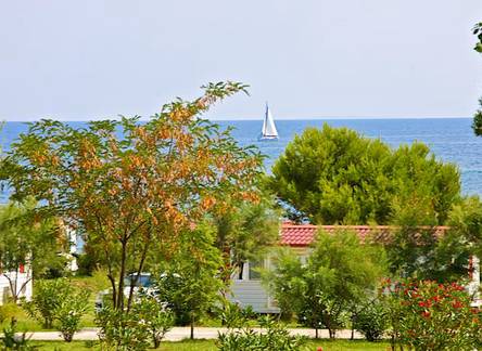 Отель Kazela Camping