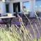 Отель Villa Diana Apt