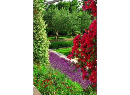 Отель Velaris Turist Resort