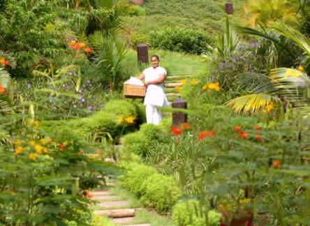 Отель Lakaz Chamarel Exclusive Lodge