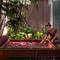 Отель Anantara Bophut Resort & Spa