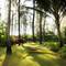 Отель Haadson Resort