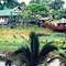 Отель Sepilok Nature Resort (Sandakan/Sabah)
