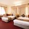 Отель Rex Hotel