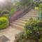 Отель Evergreen Seychelles APT