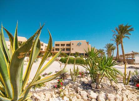 Отель The Breakers Diving & Surfing Lodge